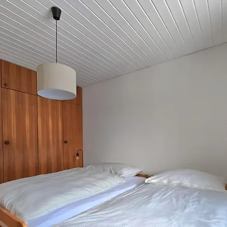 Tsandelanne Avec Terrasse Panoramique, Val D'hérens * Saint-Martin